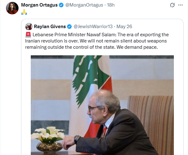 US deputy envoy Morgan Ortagus hails disputable remarks of Prime Minister Nawaf Salam